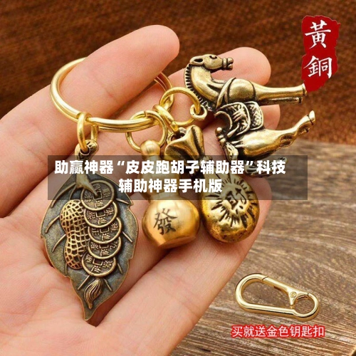 助赢神器“皮皮跑胡子辅助器”科技辅助神器手机版-第2张图片