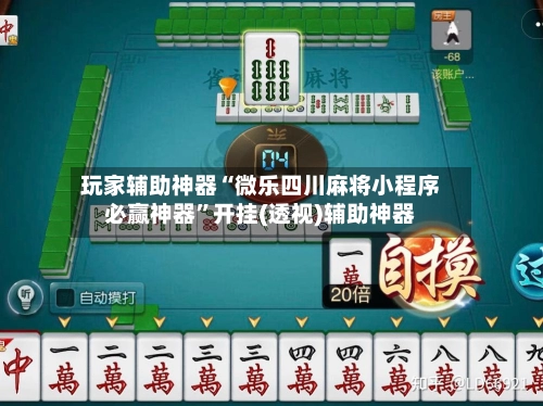 玩家辅助神器“微乐四川麻将小程序必赢神器”开挂(透视)辅助神器-第2张图片