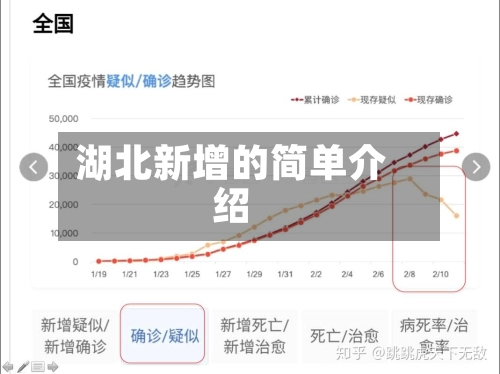湖北新增的简单介绍