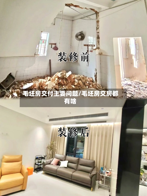 毛坯房交付主要问题/毛坯房交房都有啥-第2张图片
