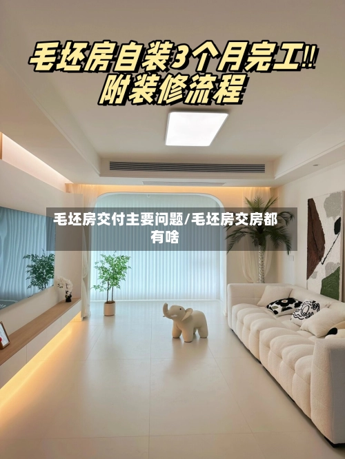 毛坯房交付主要问题/毛坯房交房都有啥