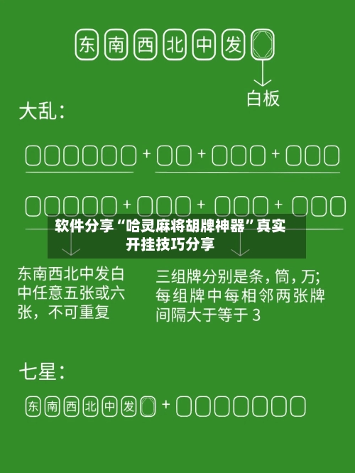 软件分享“哈灵麻将胡牌神器”真实开挂技巧分享-第2张图片