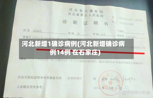 河北新增1确诊病例(河北新增确诊病例14例 在石家庄)-第2张图片
