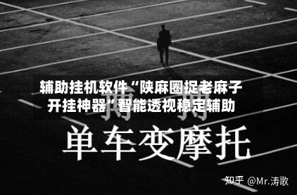 辅助挂机软件“陕麻圈捉老麻子开挂神器”智能透视稳定辅助-第2张图片