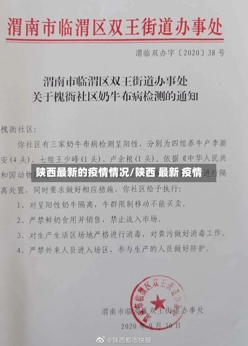 陕西最新的疫情情况/陕西 最新 疫情