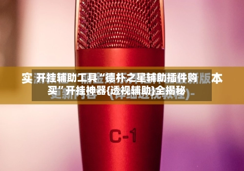 开挂辅助工具“德朴之星辅助插件购买”开挂神器{透视辅助}全揭秘-第2张图片