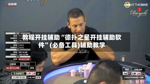 教程开挂辅助“德扑之星开挂辅助软件”(必备工具)辅助教学-第3张图片