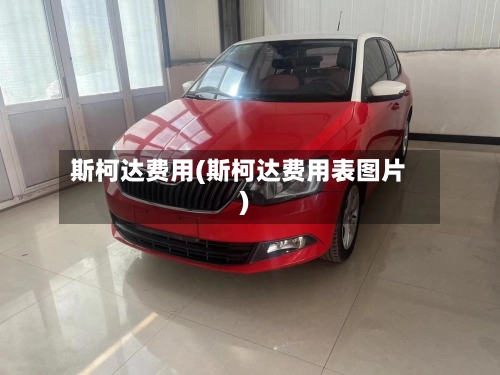 斯柯达费用(斯柯达费用表图片)