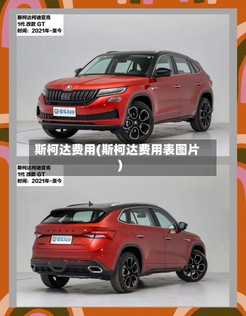 斯柯达费用(斯柯达费用表图片)-第2张图片