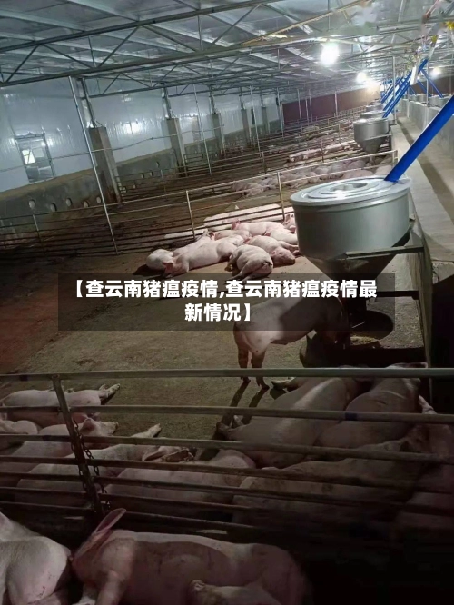 【查云南猪瘟疫情,查云南猪瘟疫情最新情况】-第2张图片