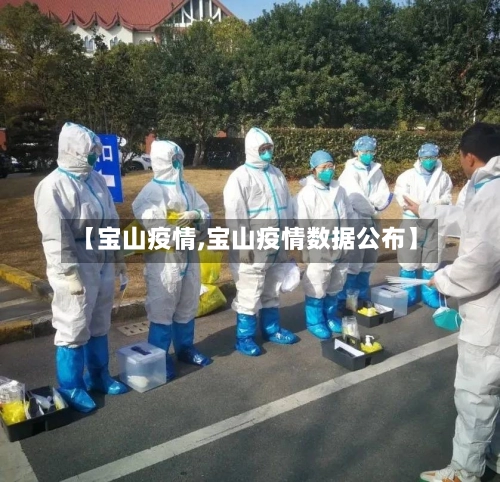 【宝山疫情,宝山疫情数据公布】