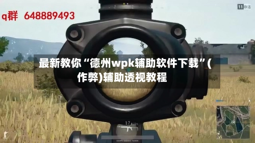最新教你“德州wpk辅助软件下载”(作弊)辅助透视教程-第2张图片