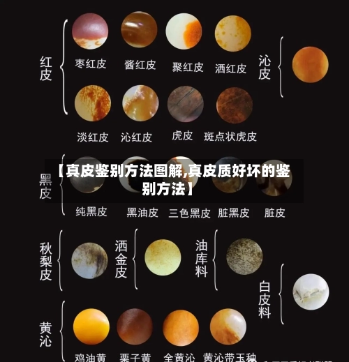 【真皮鉴别方法图解,真皮质好坏的鉴别方法】