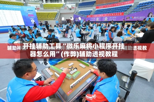 开挂辅助工具“微乐麻将小程序开挂器怎么用”(作弊)辅助透视教程-第3张图片