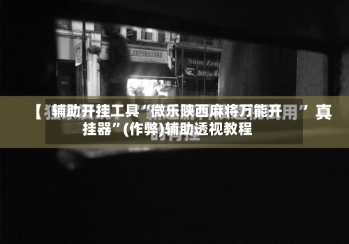 辅助开挂工具“微乐陕西麻将万能开挂器”(作弊)辅助透视教程