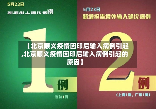 【北京顺义疫情因印尼输入病例引起,北京顺义疫情因印尼输入病例引起的原因】