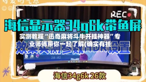 实测教程“迅奇麻将斗牛开挂神器”专业师傅带你一起了解(确实有挂