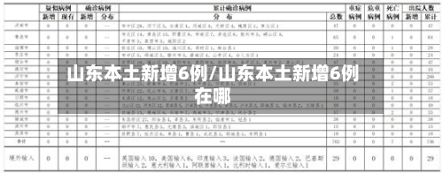 山东本土新增6例/山东本土新增6例在哪-第2张图片