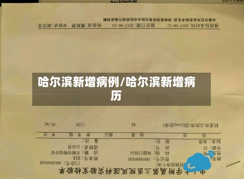 哈尔滨新增病例/哈尔滨新增病历