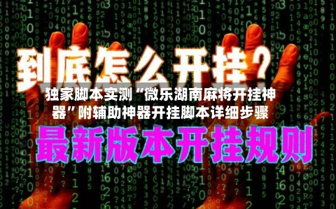 独家脚本实测“微乐湖南麻将开挂神器”附辅助神器开挂脚本详细步骤-第2张图片