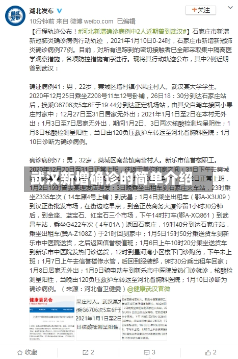 武汉新增确诊的简单介绍-第2张图片