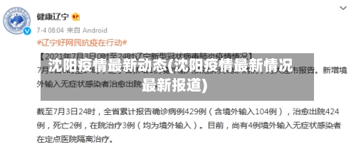 沈阳疫情最新动态(沈阳疫情最新情况最新报道)