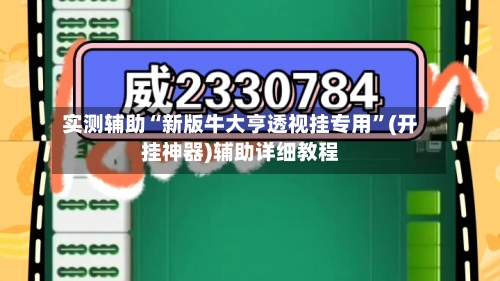 实测辅助“新版牛大亨透视挂专用”(开挂神器)辅助详细教程