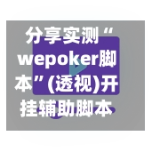 分享实测“wepoker脚本”(透视)开挂辅助脚本+详细开挂安装教程-第3张图片