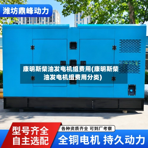 康明斯柴油发电机组费用(康明斯柴油发电机组费用分类)