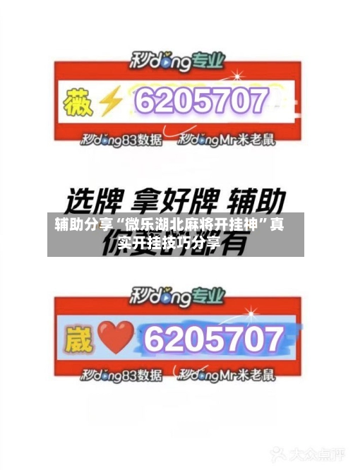 辅助分享“微乐湖北麻将开挂神”真实开挂技巧分享