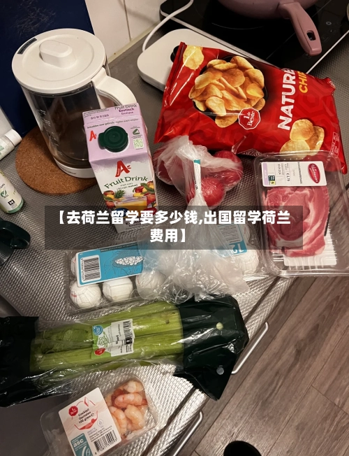 【去荷兰留学要多少钱,出国留学荷兰费用】-第2张图片