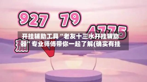 开挂辅助工具“老友十三水开挂辅助器”专业师傅带你一起了解(确实有挂-第2张图片