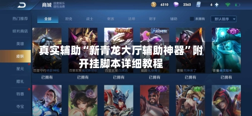 真实辅助“新青龙大厅辅助神器”附开挂脚本详细教程