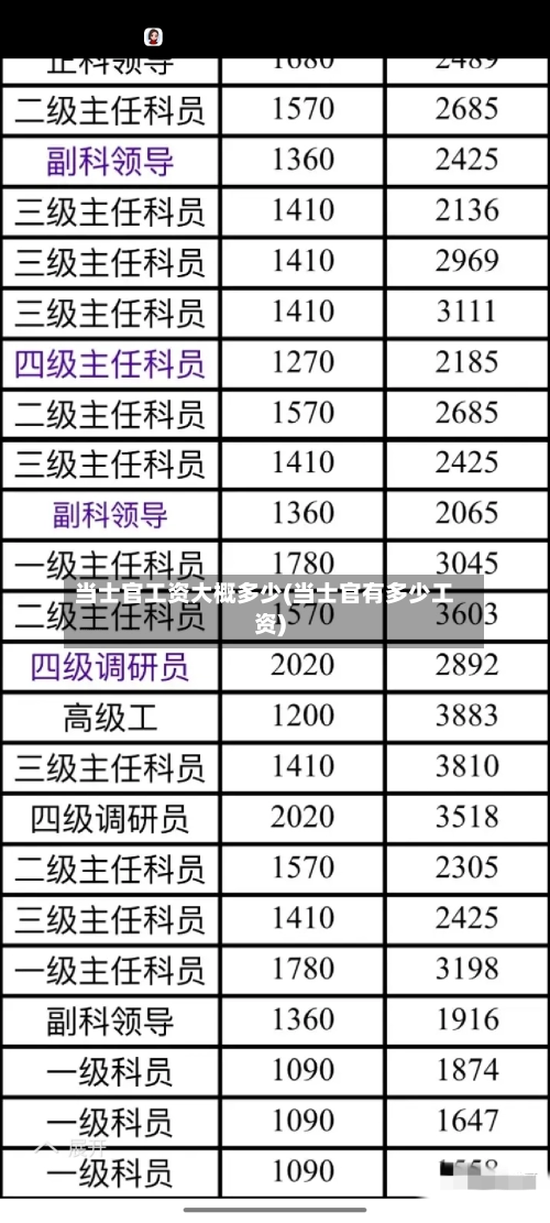 当士官工资大概多少(当士官有多少工资)-第2张图片