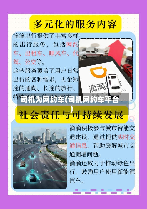 司机为网约车(司机网约车平台)-第2张图片