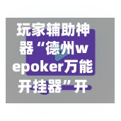 玩家辅助神器“德州wepoker万能开挂器”开挂神器{透视辅助}全揭秘-第3张图片