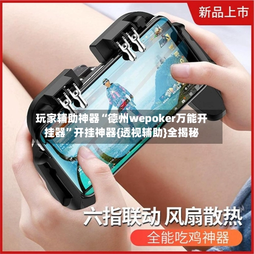 玩家辅助神器“德州wepoker万能开挂器”开挂神器{透视辅助}全揭秘