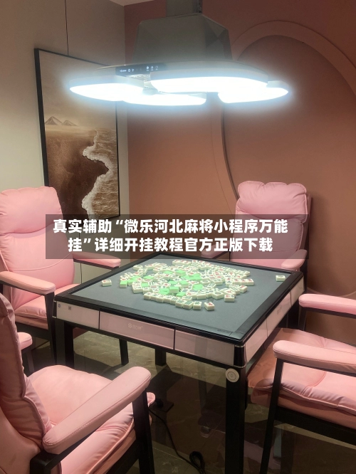 真实辅助“微乐河北麻将小程序万能挂”详细开挂教程官方正版下载