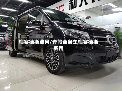梅赛德斯费用/奔驰商务车梅赛德斯费用