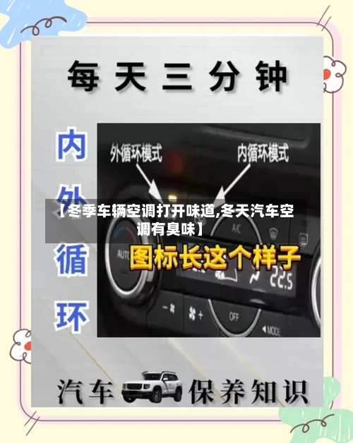 【冬季车辆空调打开味道,冬天汽车空调有臭味】-第2张图片