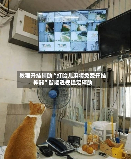 教程开挂辅助“打哈儿麻将免费开挂神器”智能透视稳定辅助
