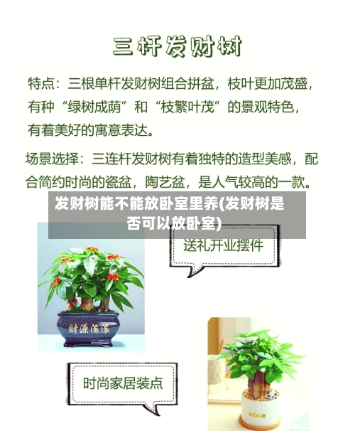 发财树能不能放卧室里养(发财树是否可以放卧室)