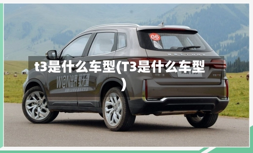 t3是什么车型(T3是什么车型)