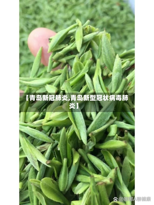 【青岛新冠肺炎,青岛新型冠状病毒肺炎】