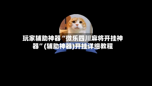 玩家辅助神器“微乐四川麻将开挂神器	”(辅助神器)开挂详细教程-第2张图片