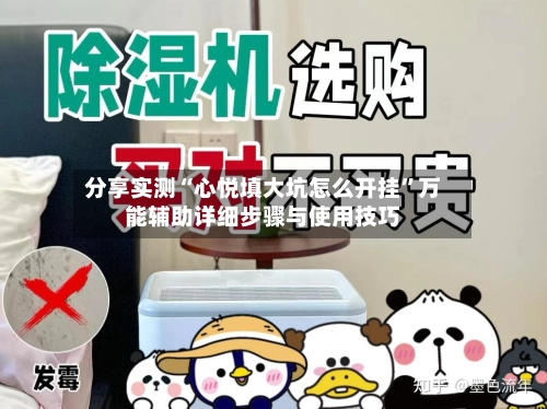 分享实测“心悦填大坑怎么开挂”万能辅助详细步骤与使用技巧-第3张图片