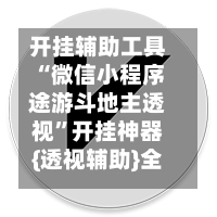 开挂辅助工具“微信小程序途游斗地主透视”开挂神器{透视辅助}全揭秘-第3张图片