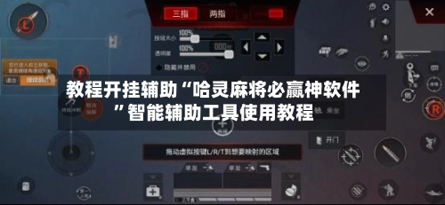 教程开挂辅助“哈灵麻将必赢神软件”智能辅助工具使用教程-第2张图片