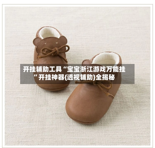 开挂辅助工具“宝宝浙江游戏万能挂”开挂神器{透视辅助}全揭秘-第2张图片