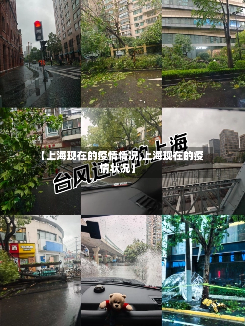 【上海现在的疫情情况,上海现在的疫情状况】